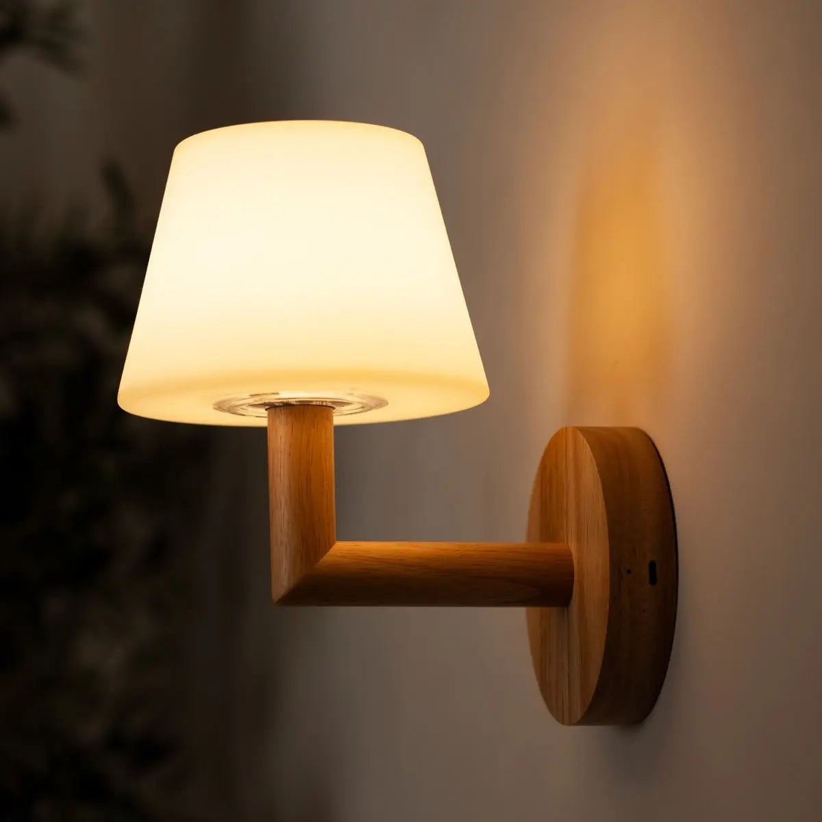 Ted Light Lamp