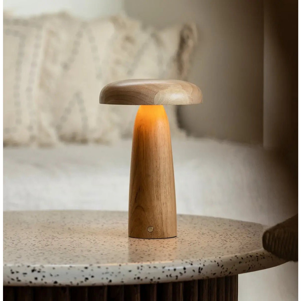 Lennart Light