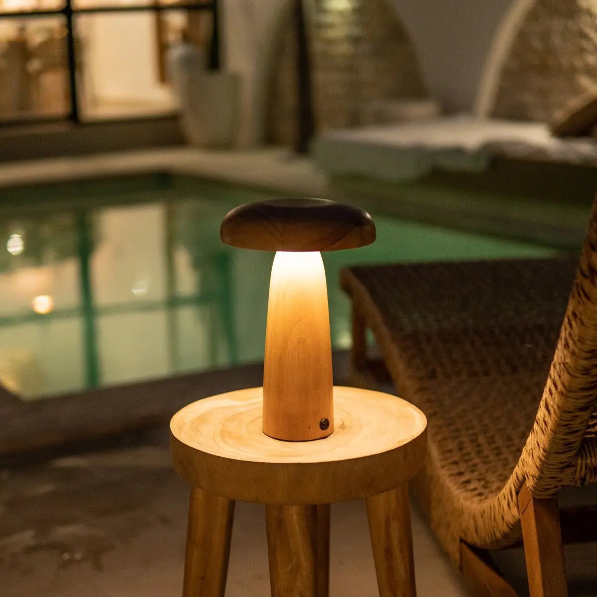 Lennart Light