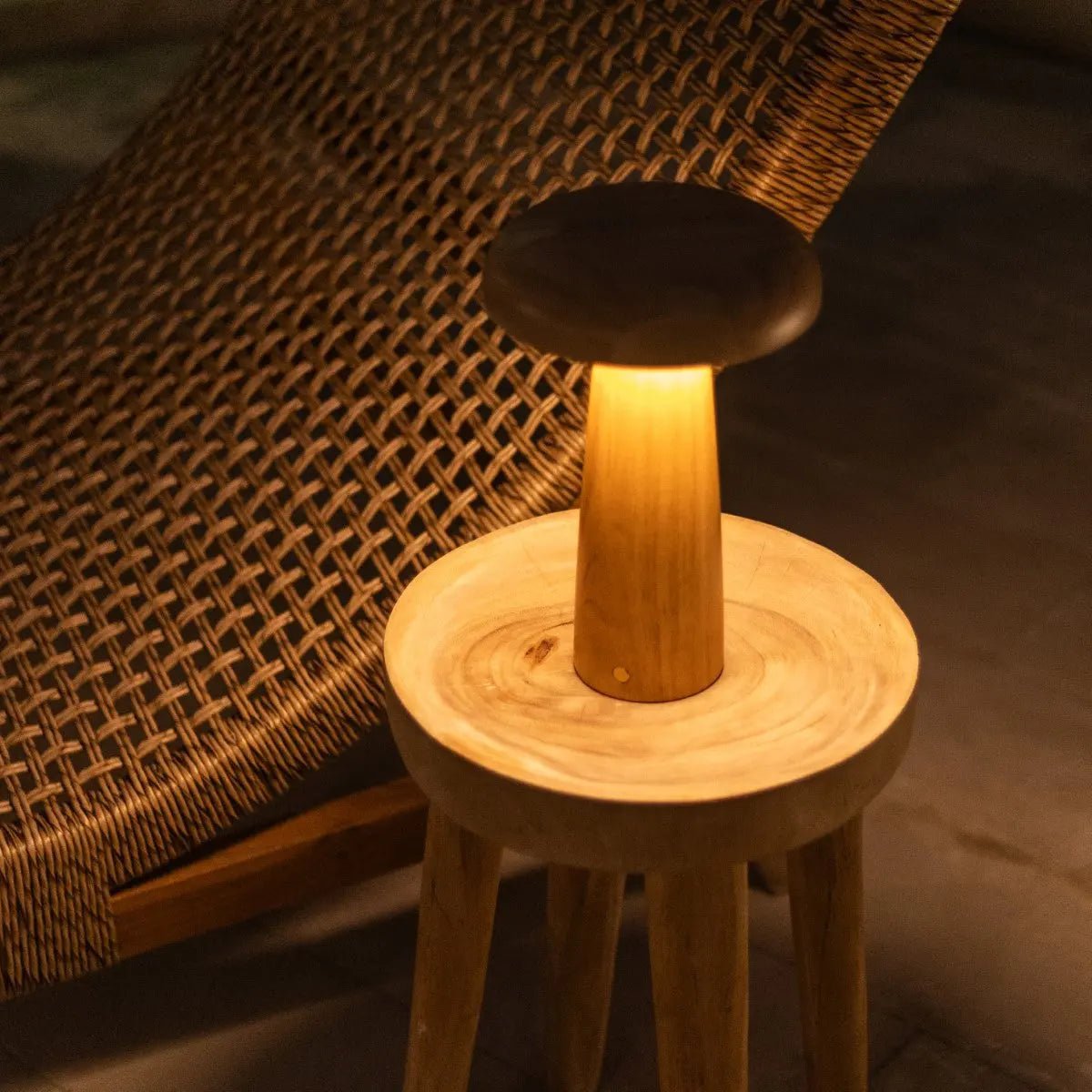 Lennart Light