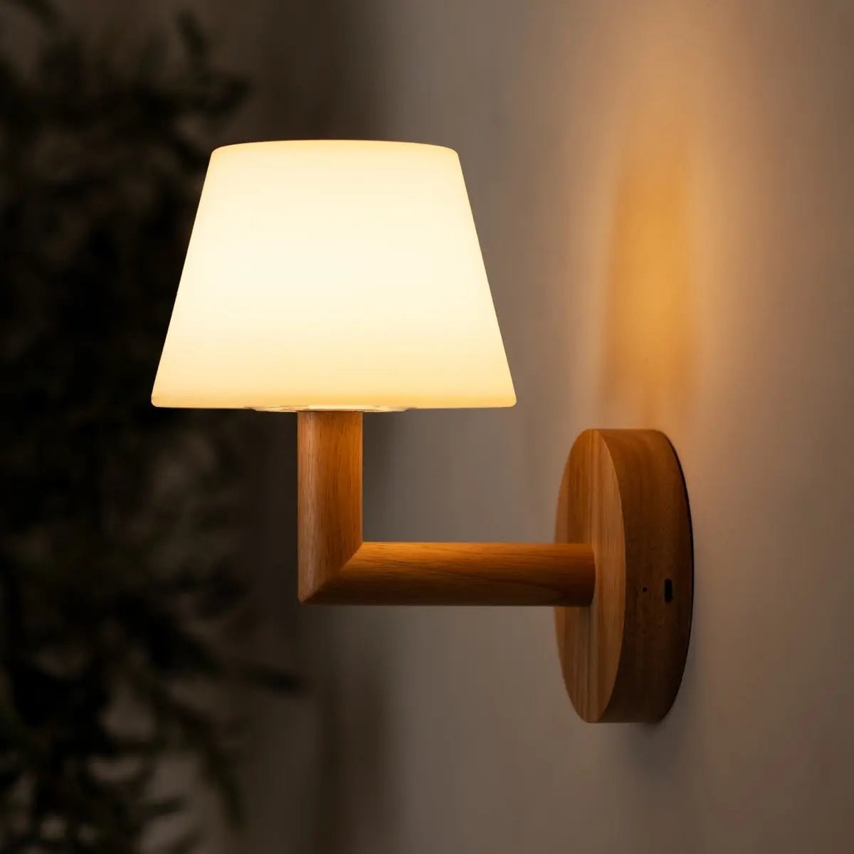 Ted Light Lamp