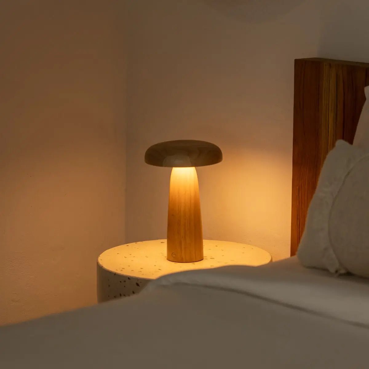 Lennart Light
